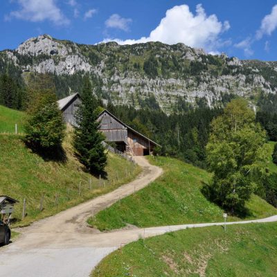 DSC_3039_potocka_zijalka_olseva_big